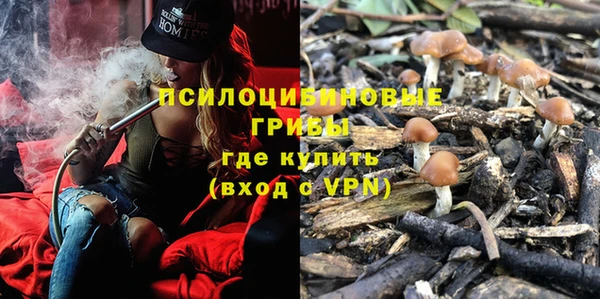 амф Абдулино