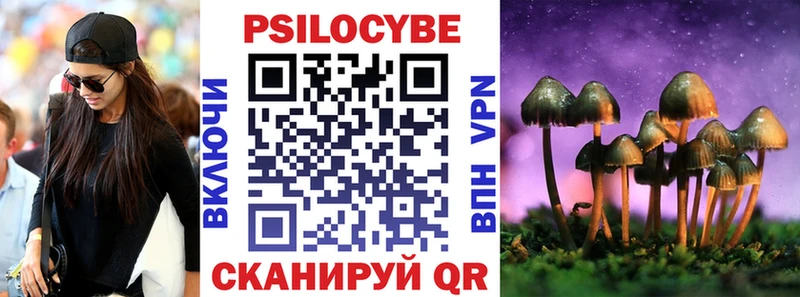 kraken как зайти  Южа  Псилоцибиновые грибы MAGIC MUSHROOMS 